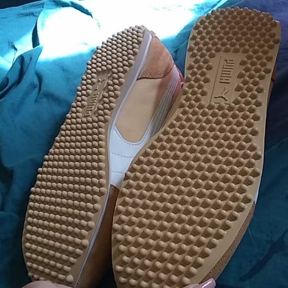 Sheos - Picture 4 of 4